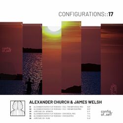 Cover of Configurations 17