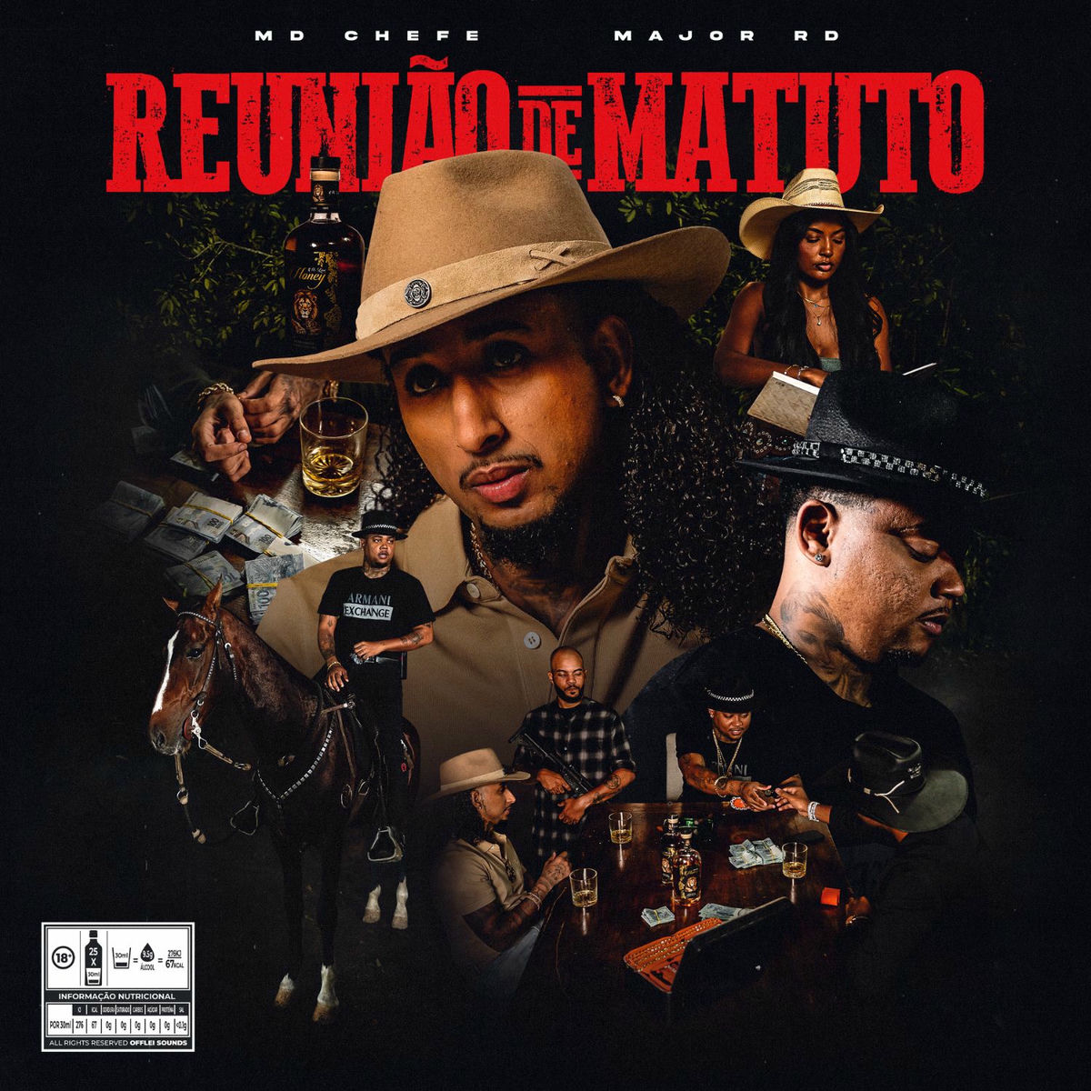 Album cover of Reunião De Matuto