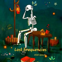 Cover of Lost Frequencies