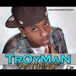 Cover of Anything