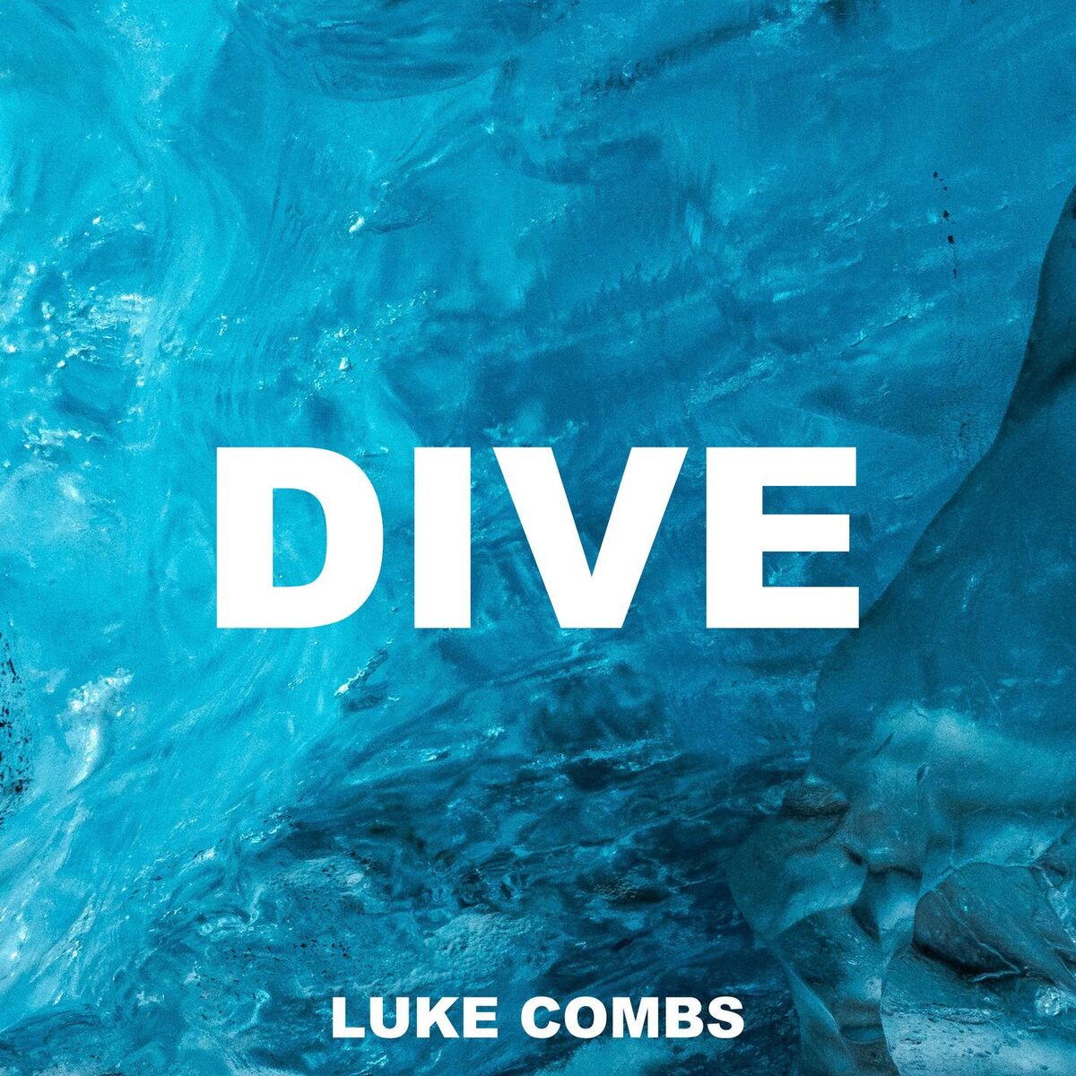 Album cover of Dive
