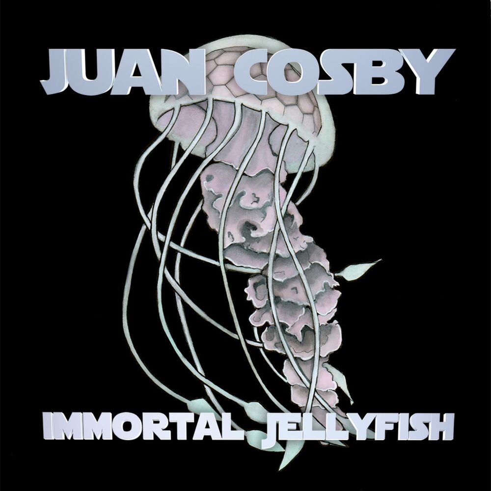 Picture of Immortal Jellyfish