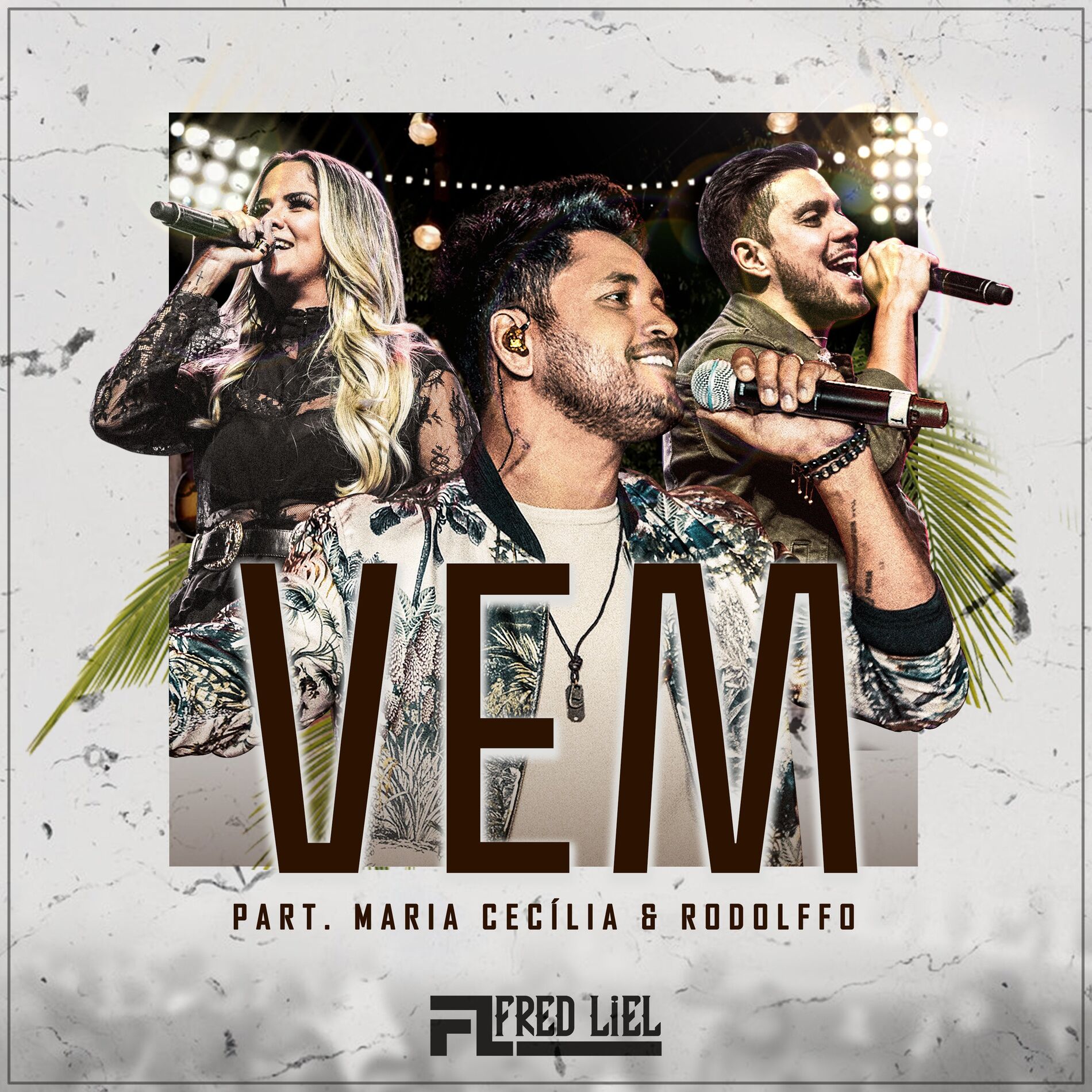 Album cover of Vem