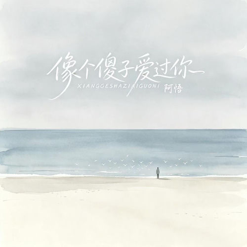 像个傻子爱过你