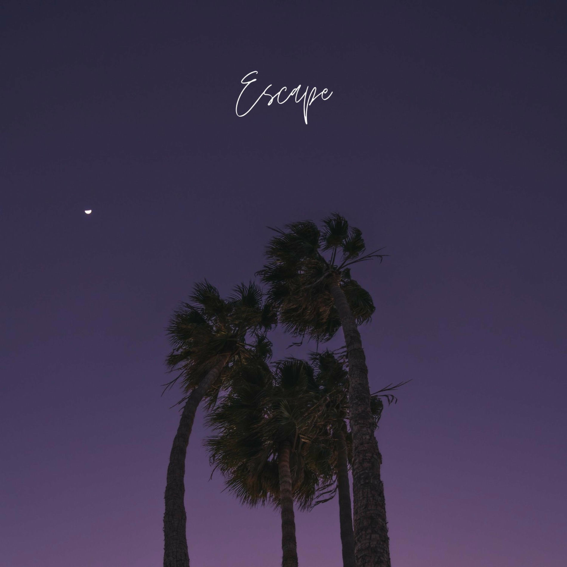 Album cover of Escape