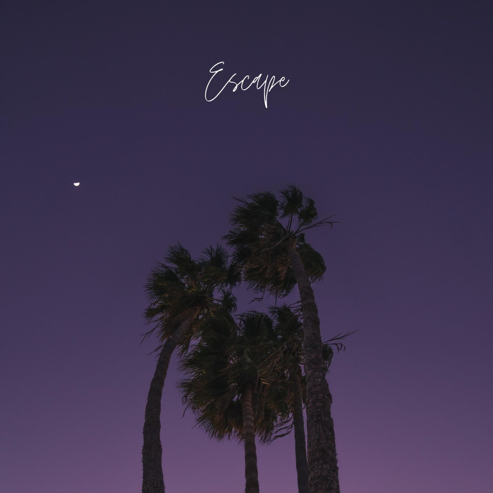 Album cover of Escape