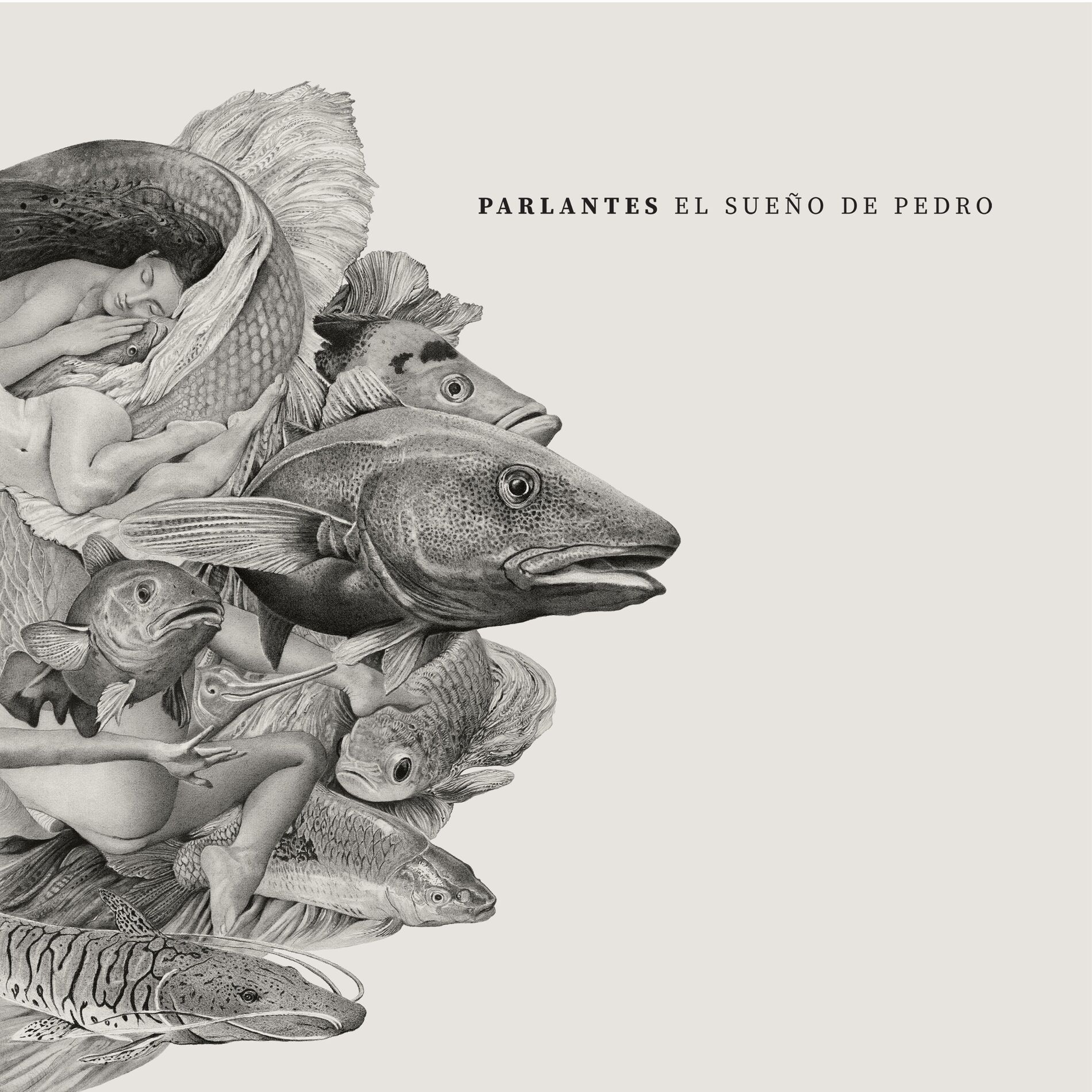 Album cover of El Sueño de Pedro