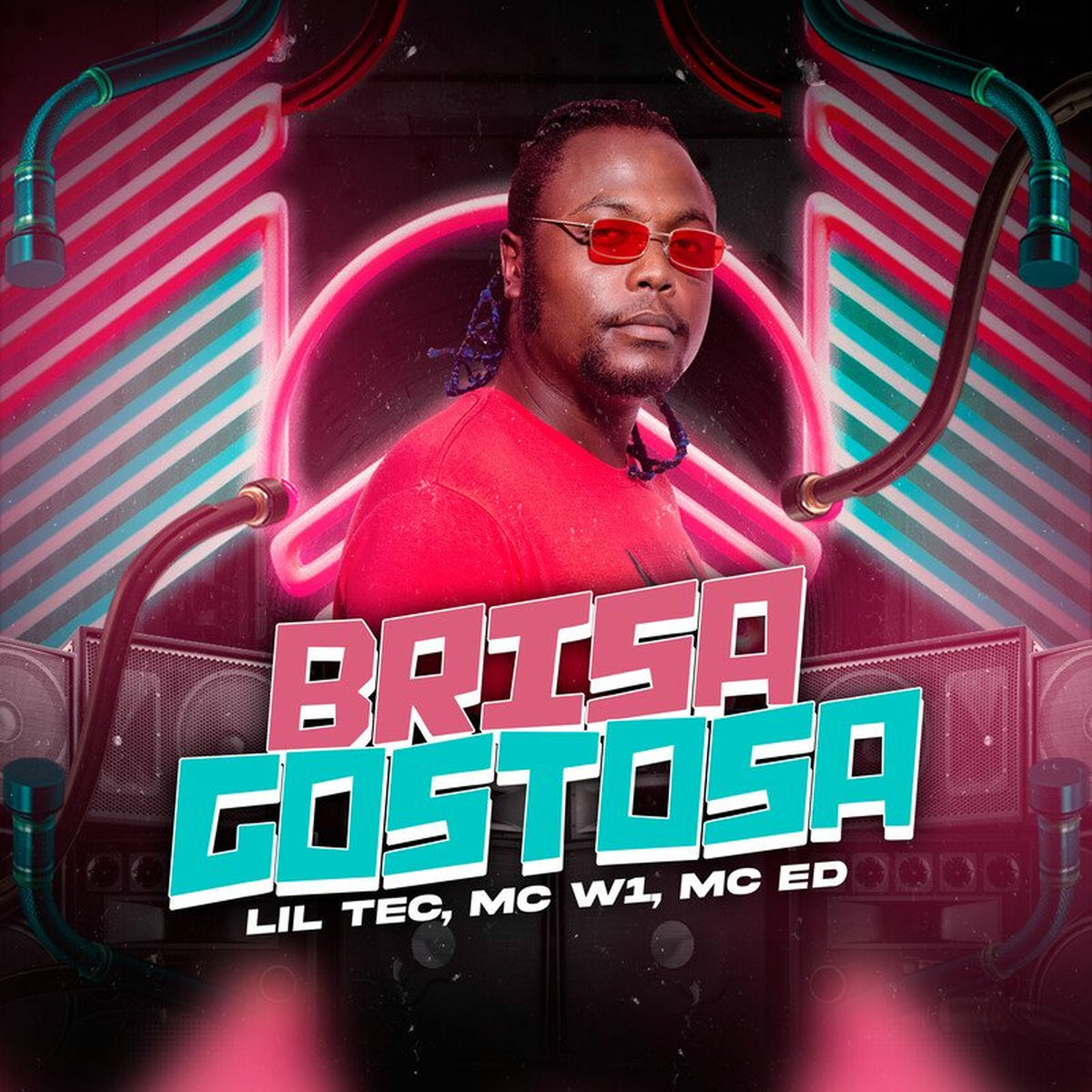 Album cover of Brisa gostosa