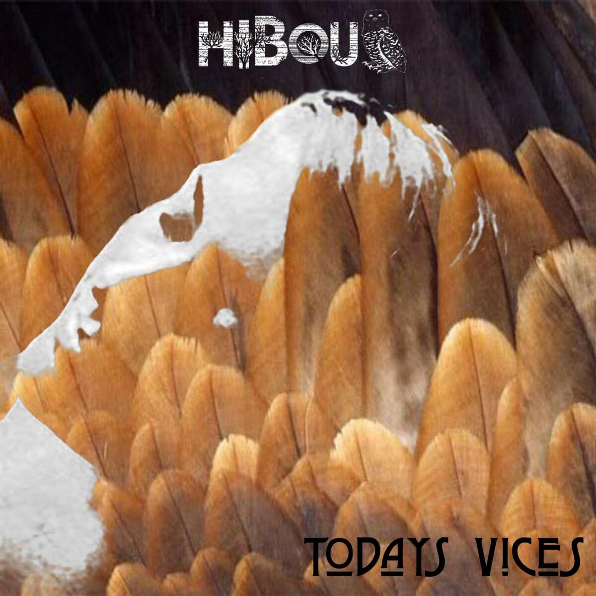 Album cover of Today's Vices