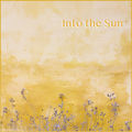 Into the Sun