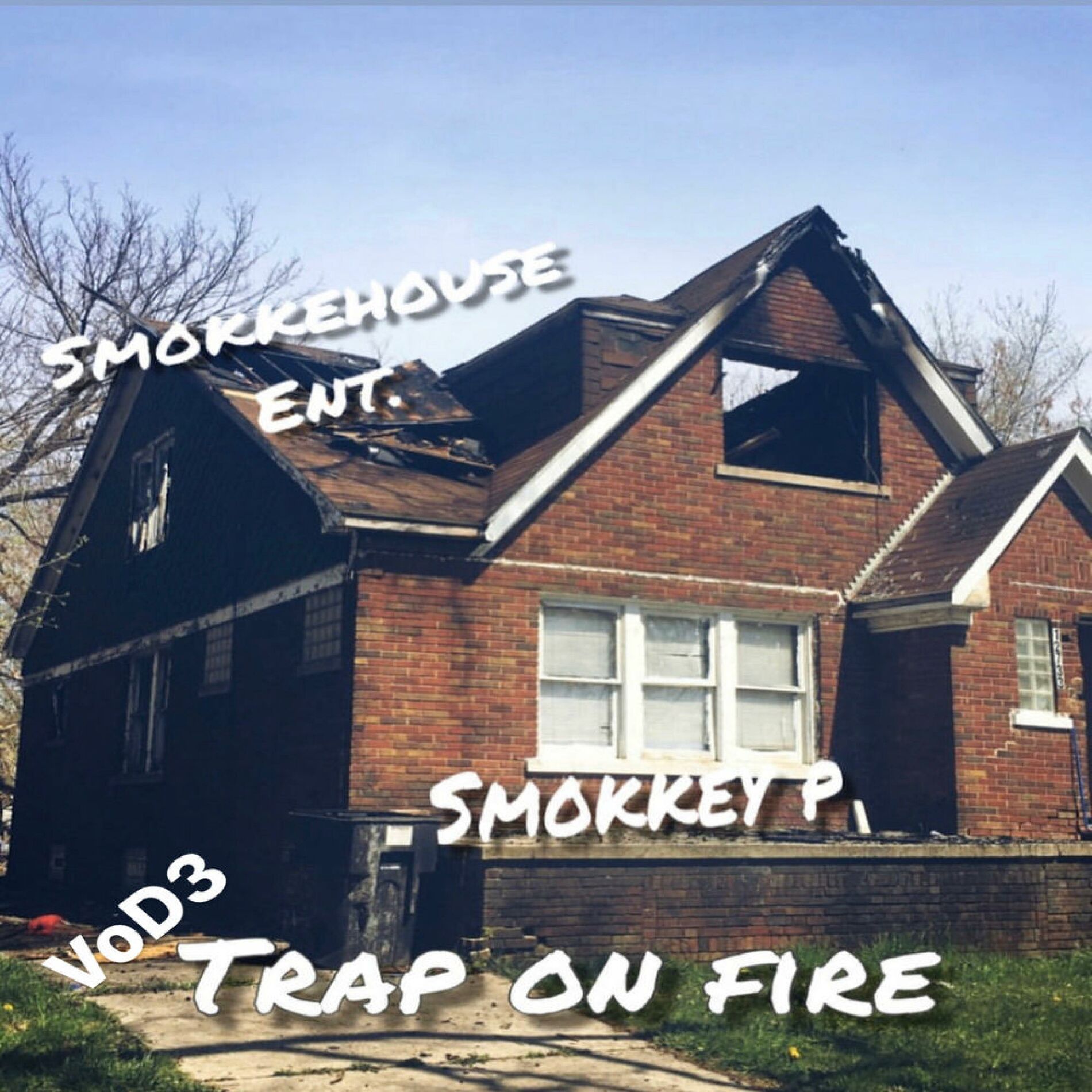 Album cover of VOD 3 Trap on Fire