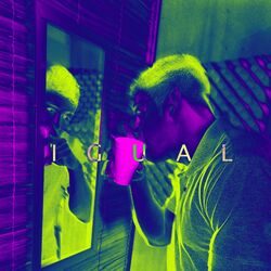 Cover of Igual