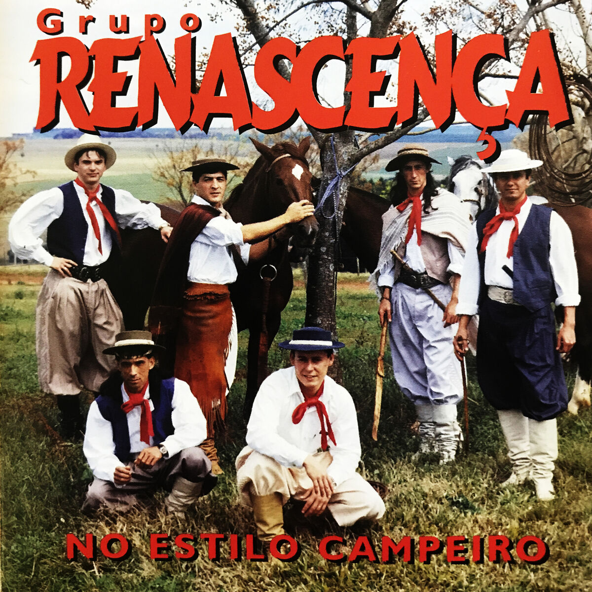 Album cover of No Estilo Campeiro
