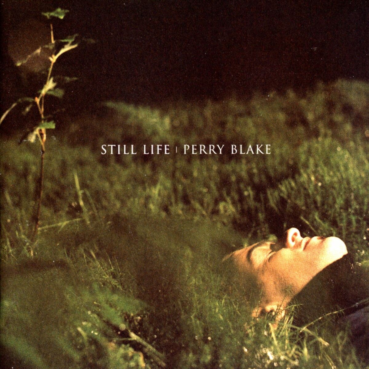 Album cover of Still Life