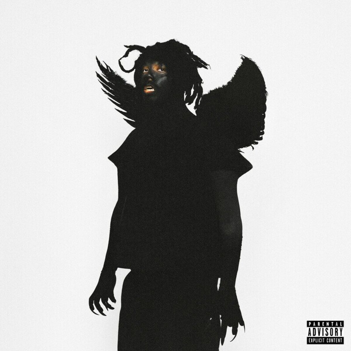 Album cover of New Age Crisis
