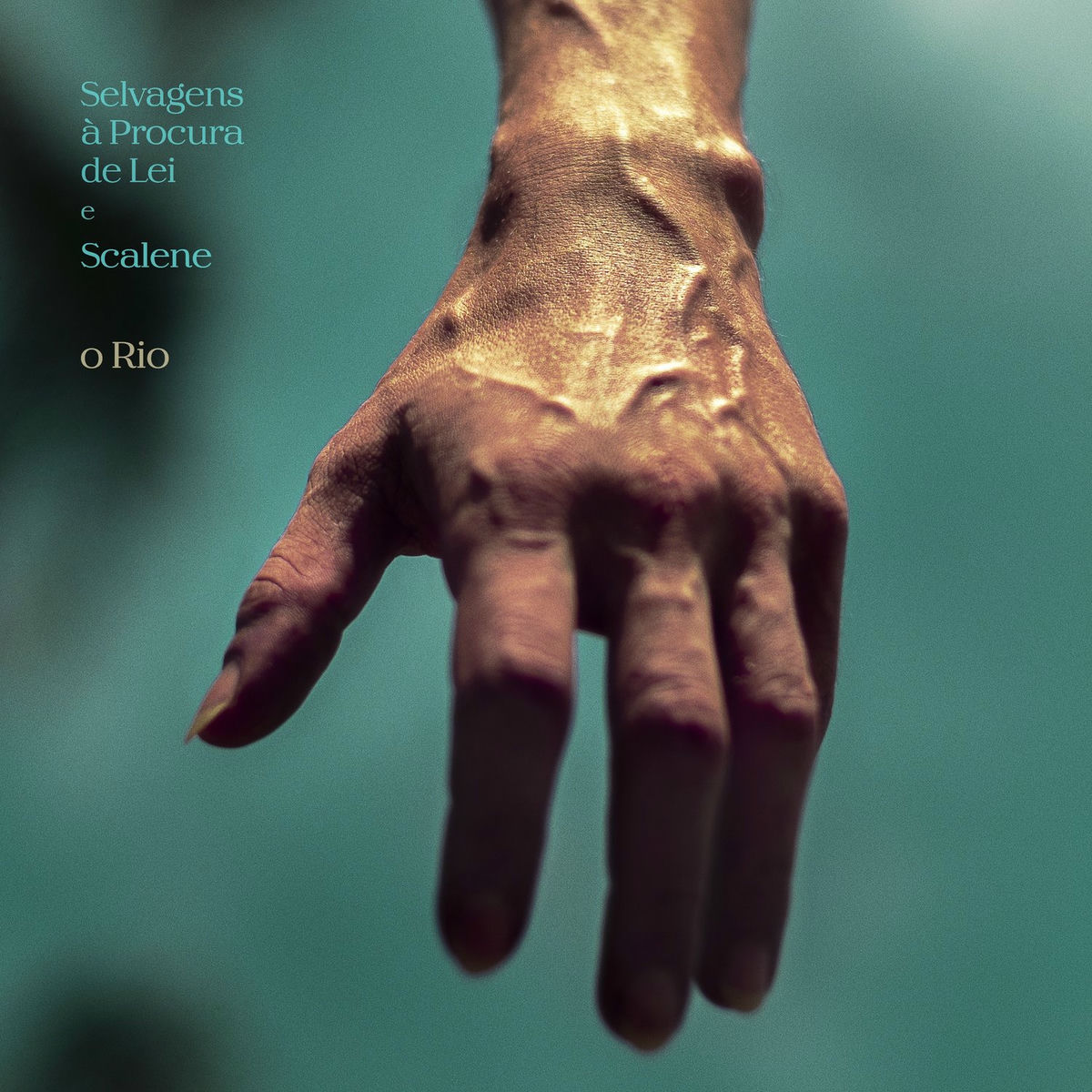 Album cover of O Rio