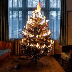 Cover of When Santa Comes