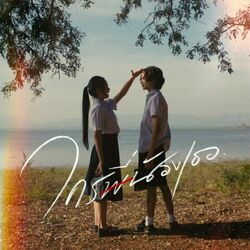 Cover of ใครพี่น้องเธอ
