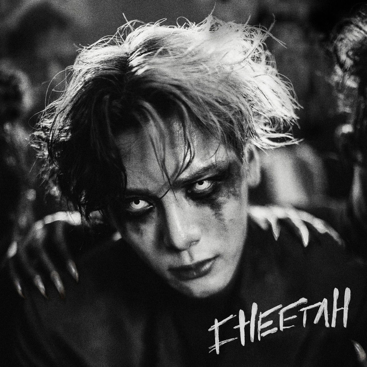 Album cover of Cheetah