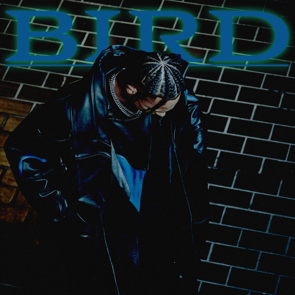 Album cover of Bird