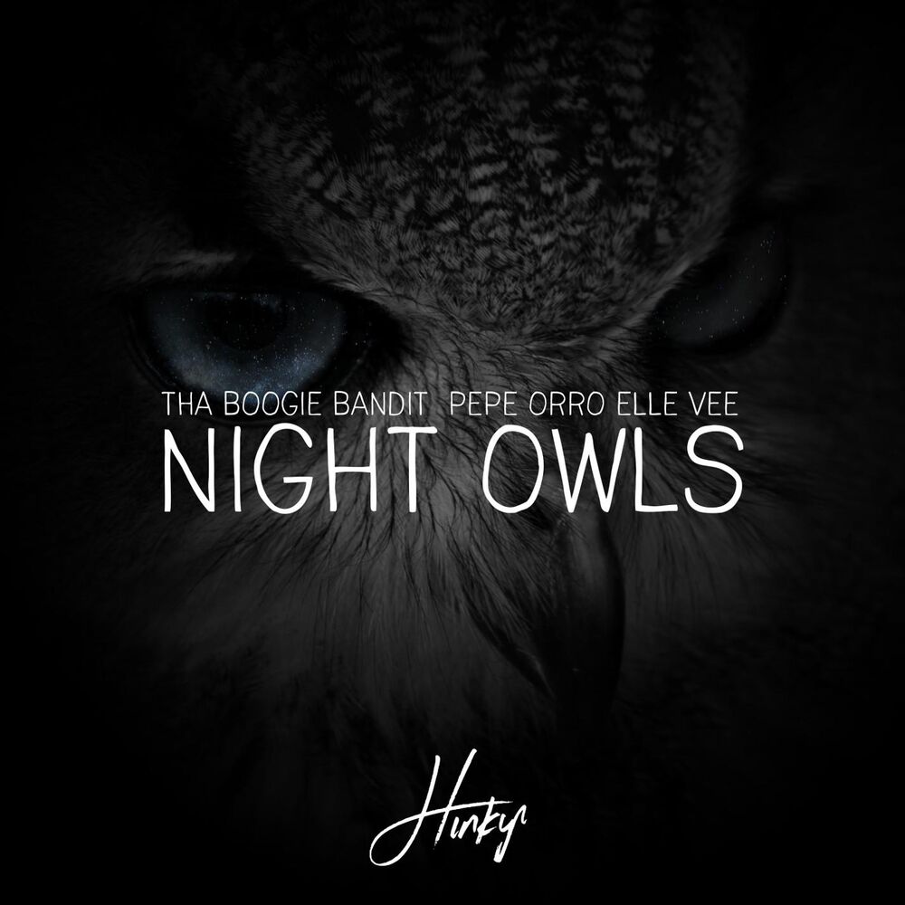 Picture of Night Owls