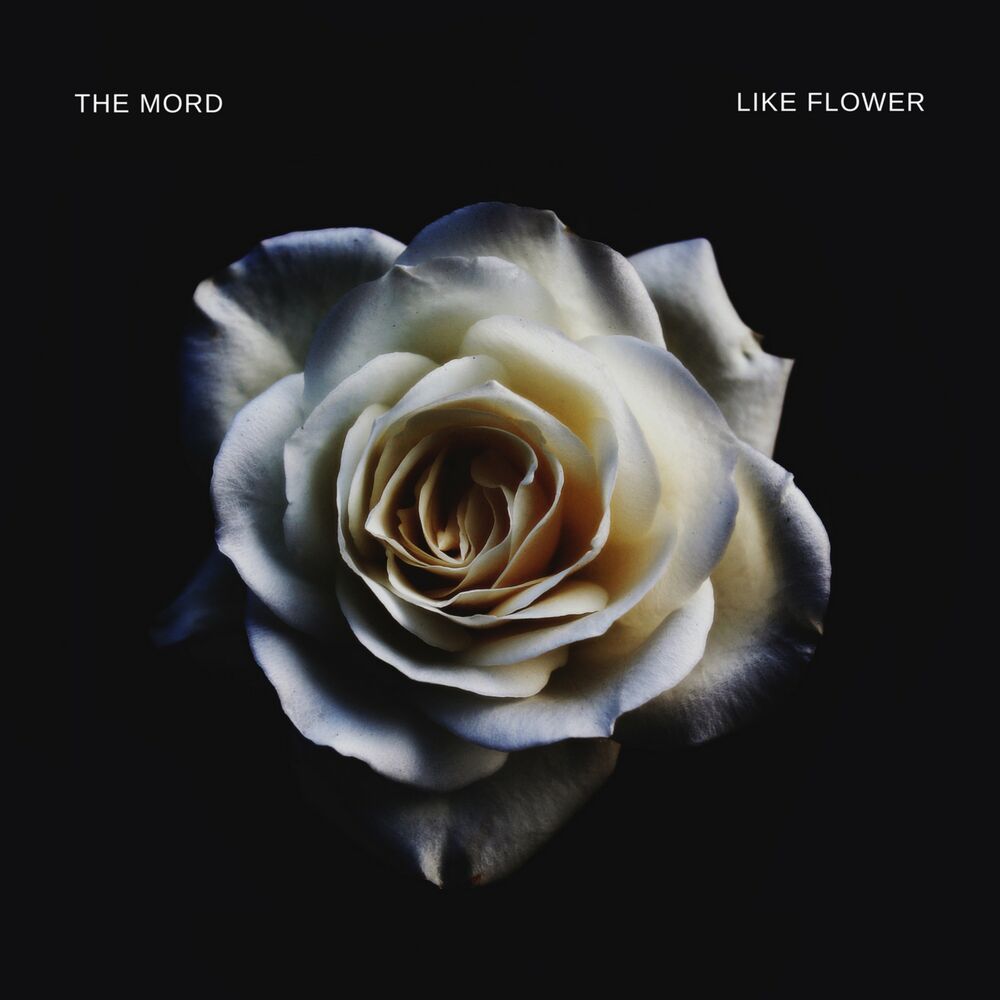 Picture of Like Flower
