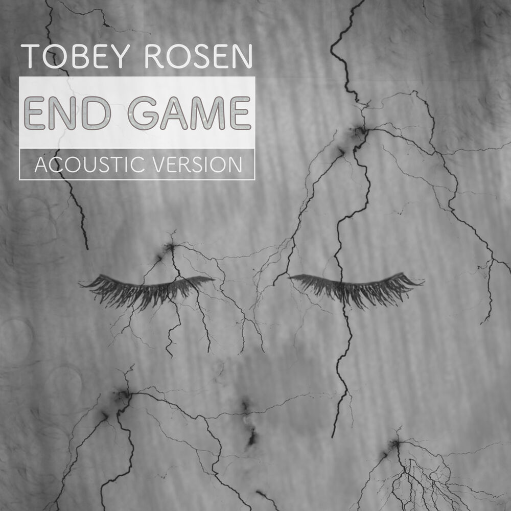 Picture of End Game (Acoustic Version)