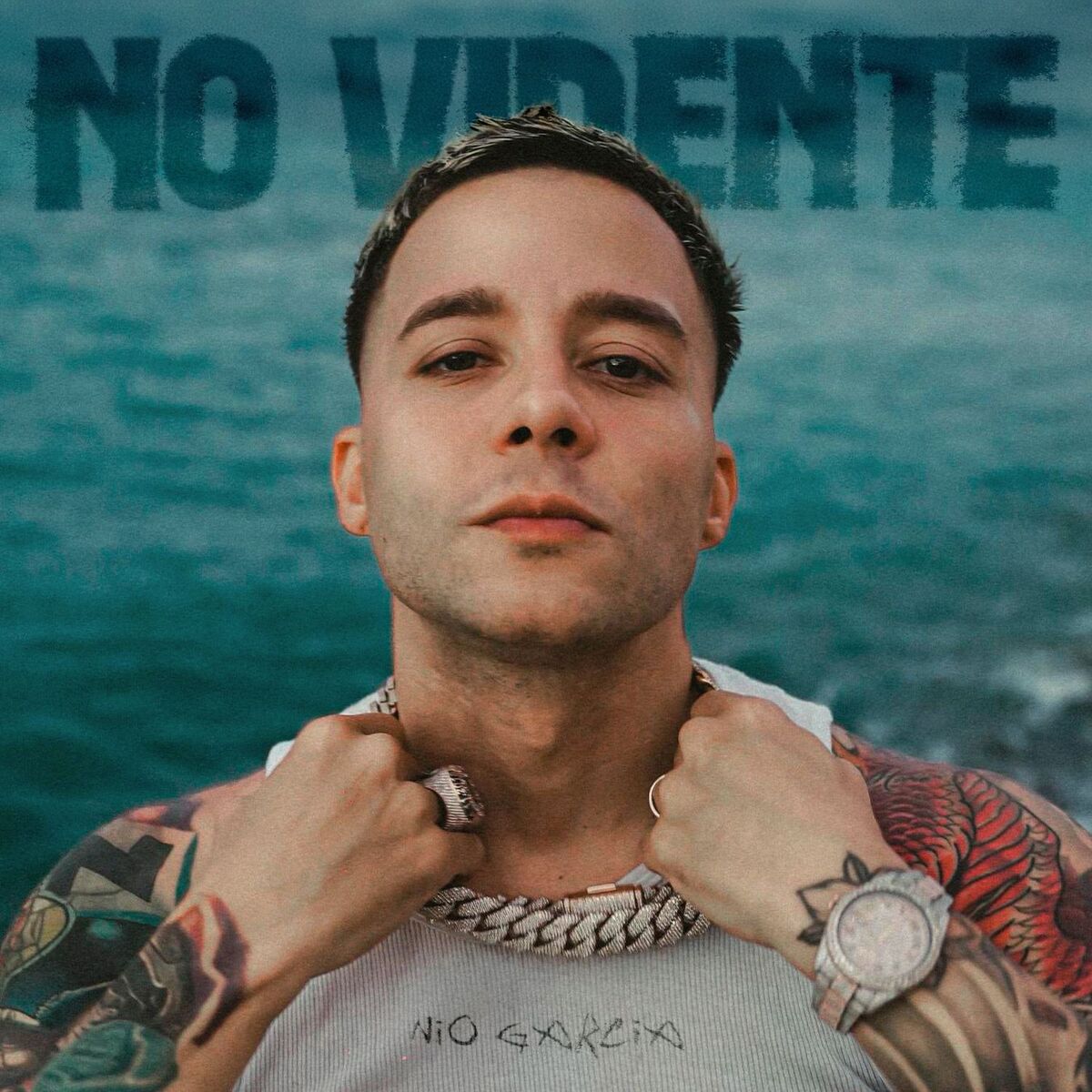 Album cover of No Vidente