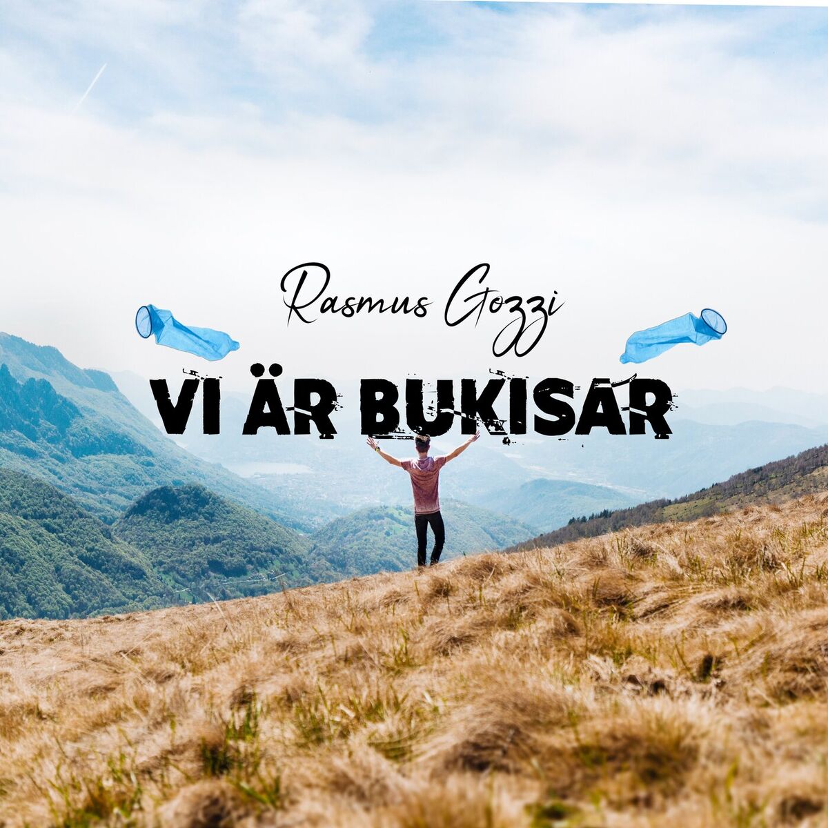 Album cover of Vi är bukisar