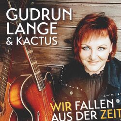 Cover of Wir fallen aus der Zeit