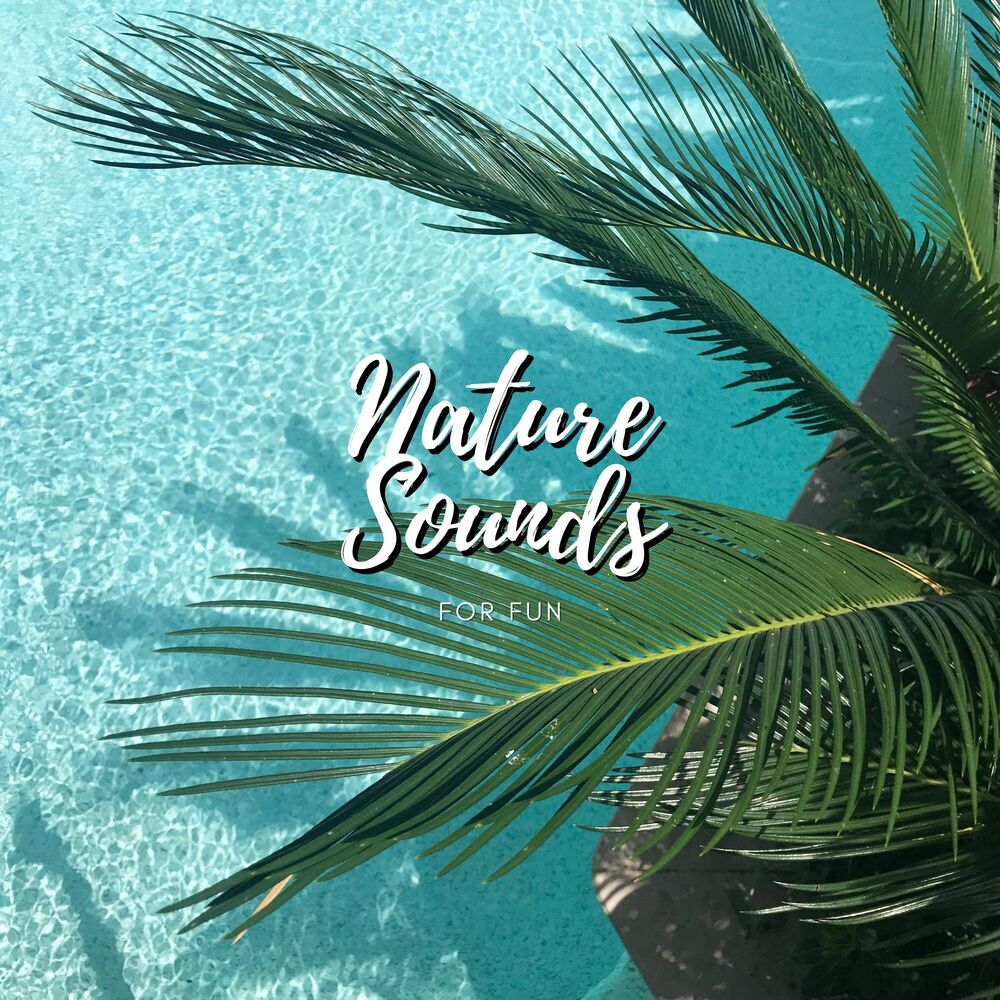 Picture of Nature Sounds For Fun