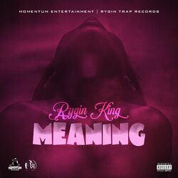 Cover of Meaning