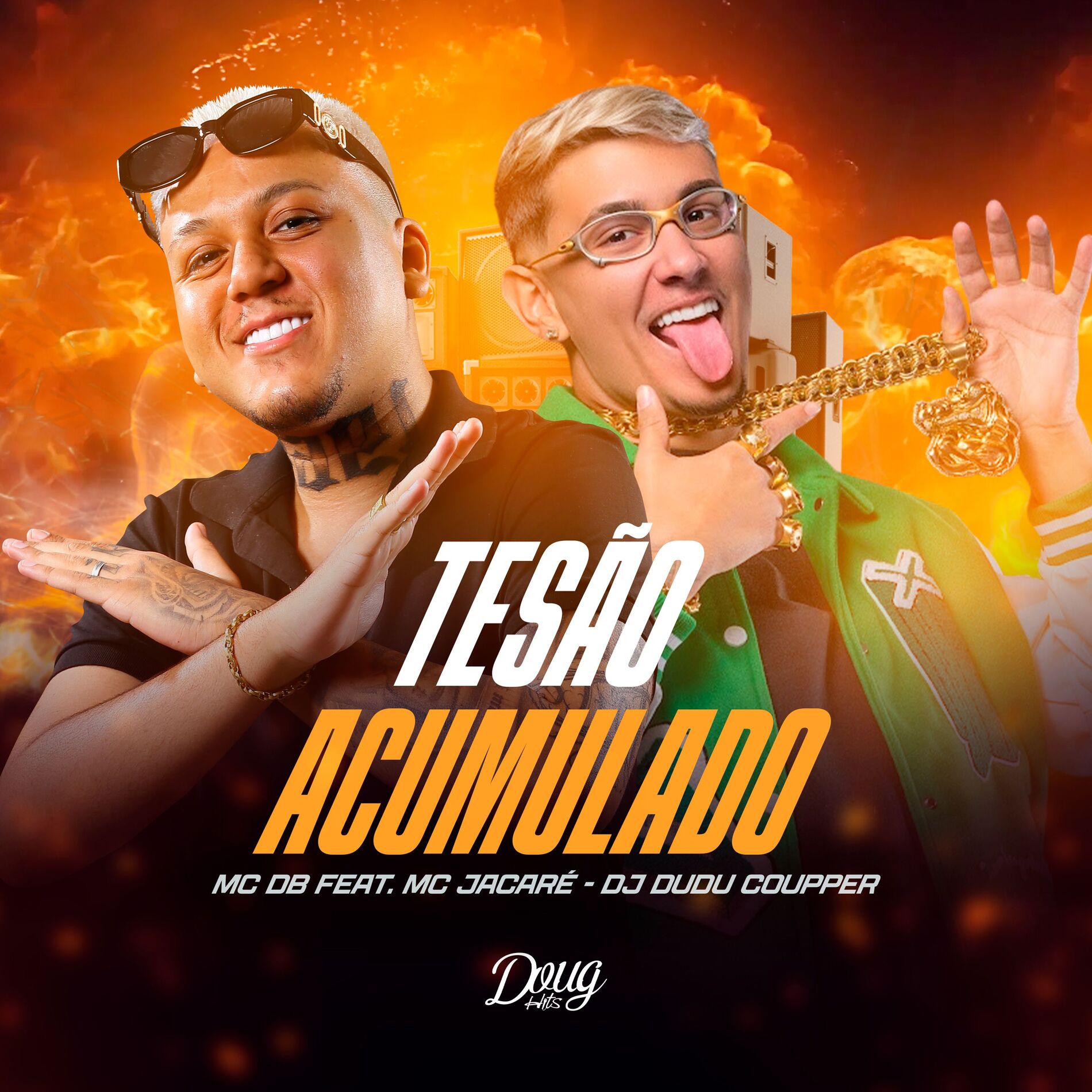 Album cover of Tesão Acumulado