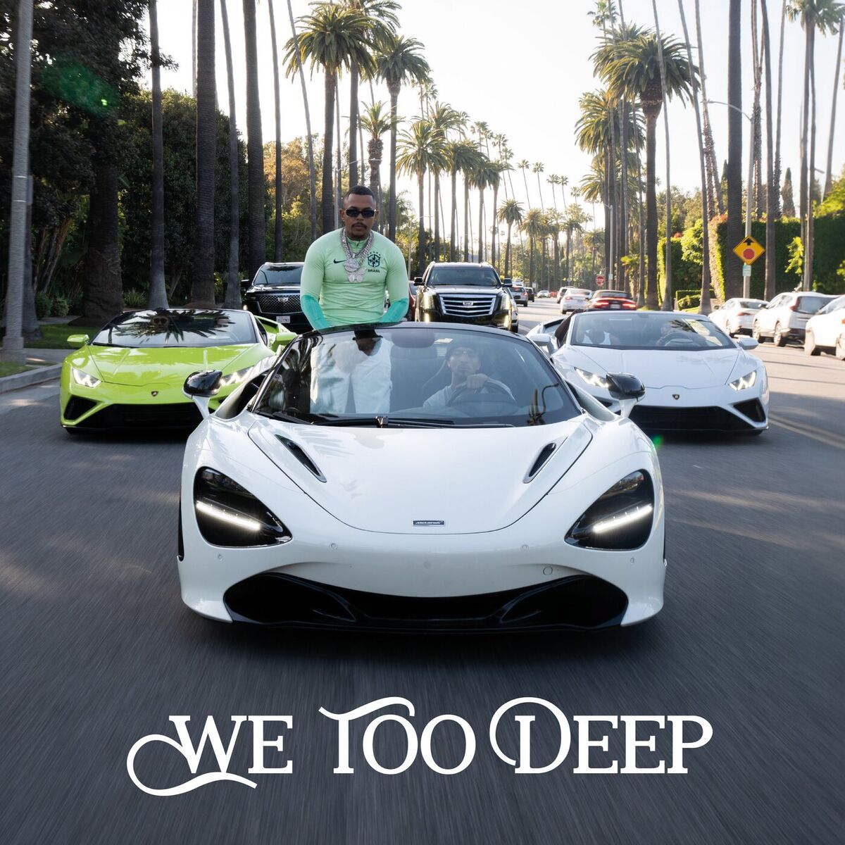 Album picture of We Too Deep