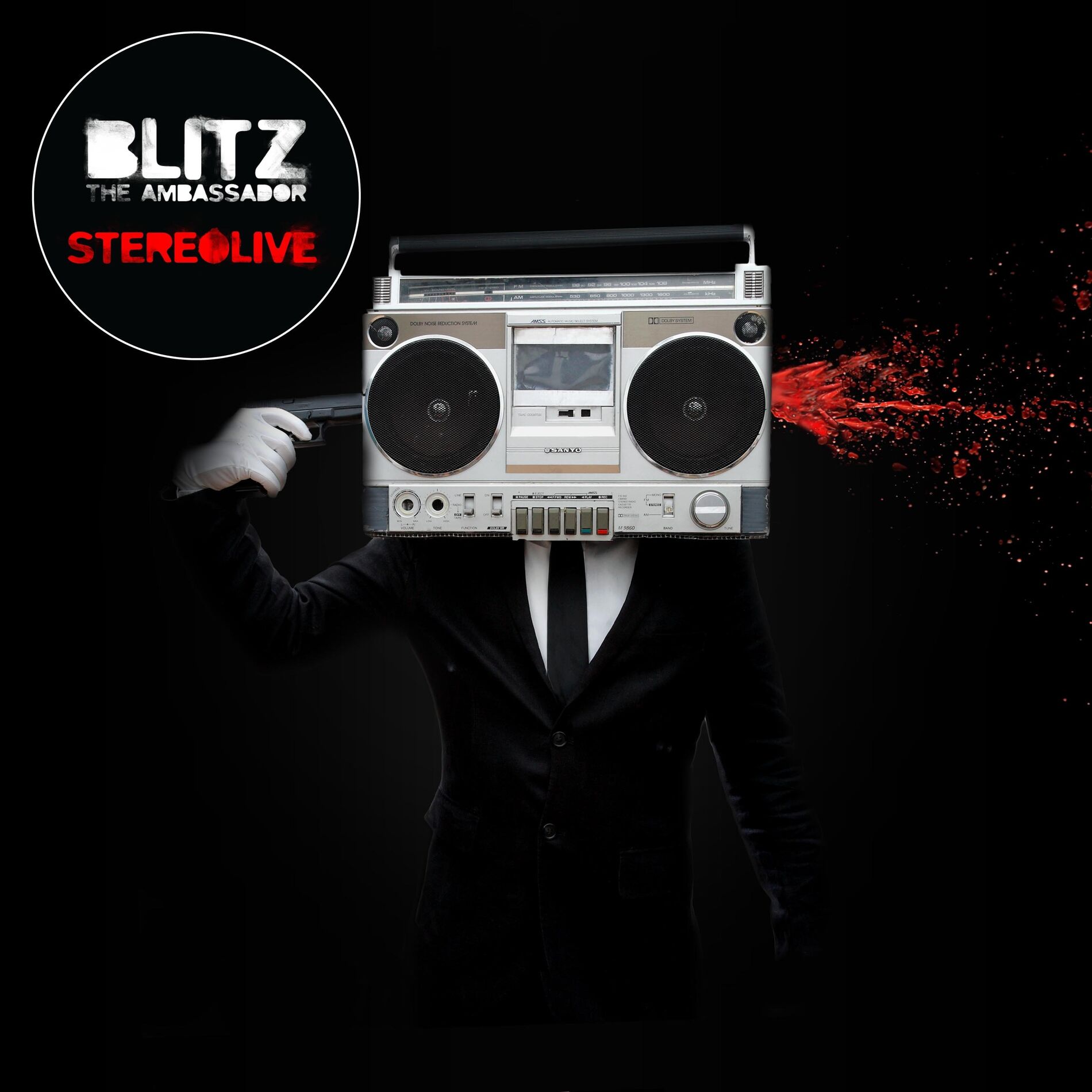 Album cover of StereoLive