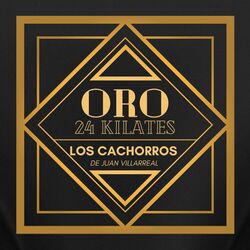 Cover of 24 Kilates De Oro