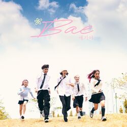 Cover of Bae