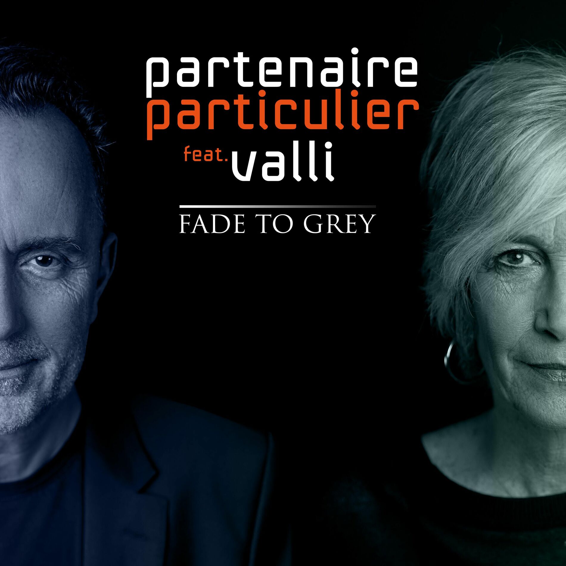 Album cover of Fade to grey
