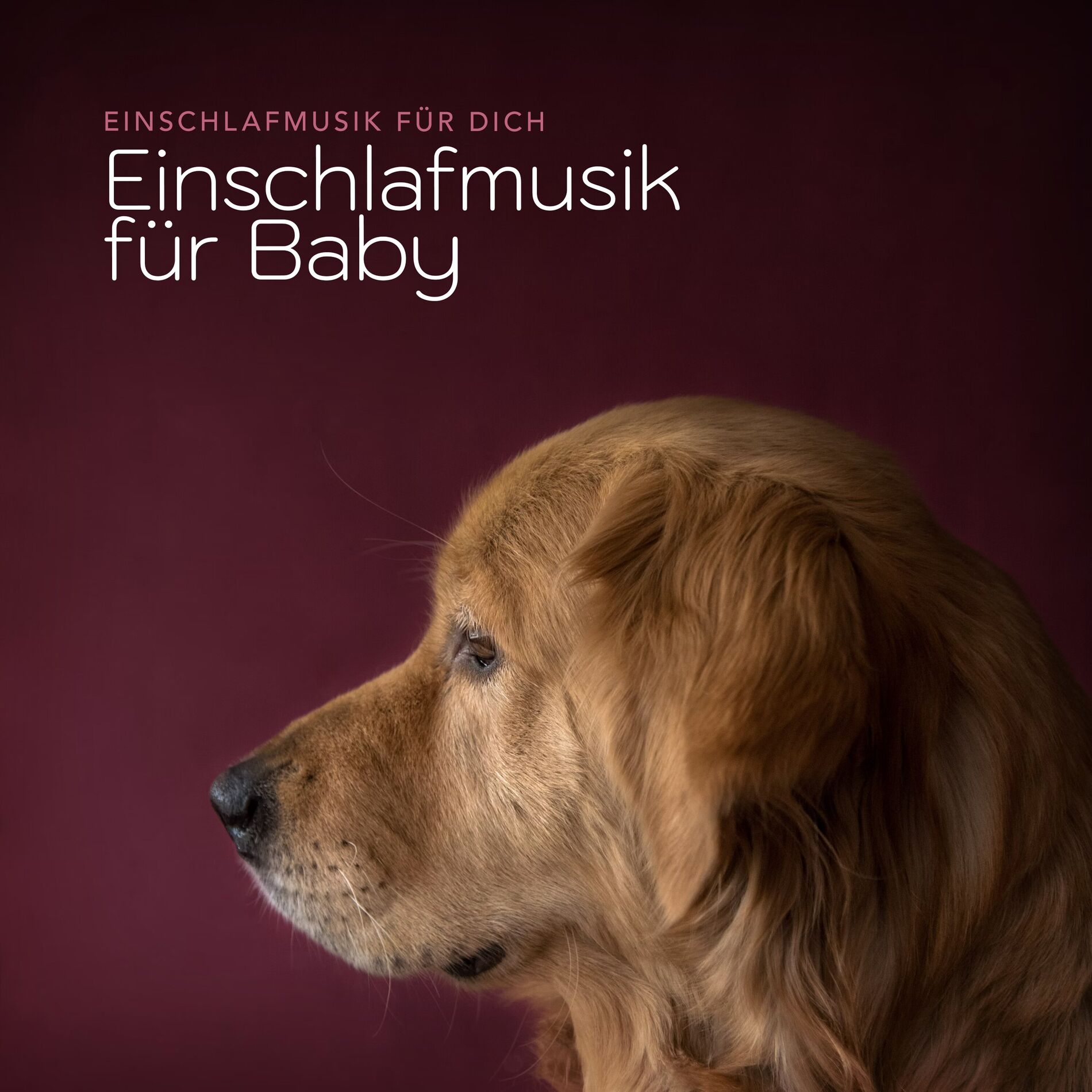 Album cover of Einschlafmusik für Baby
