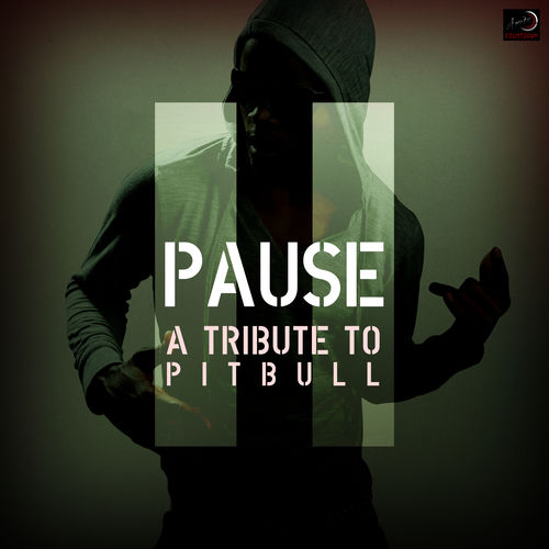 Pause - A Tribute to Pitbull