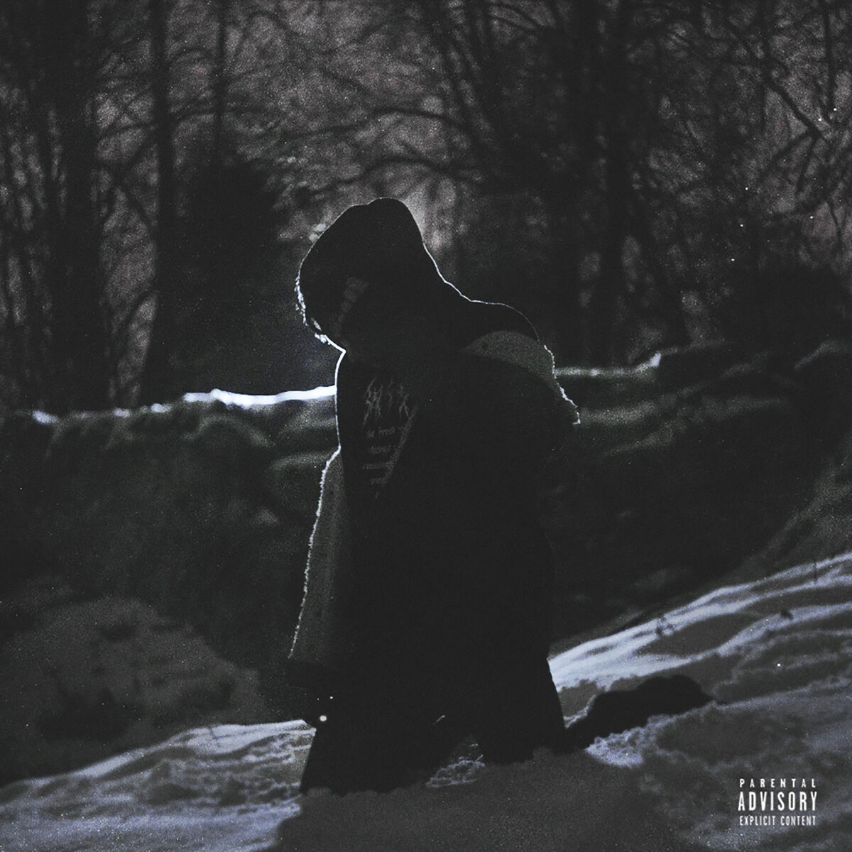 Album cover of Damn Garden