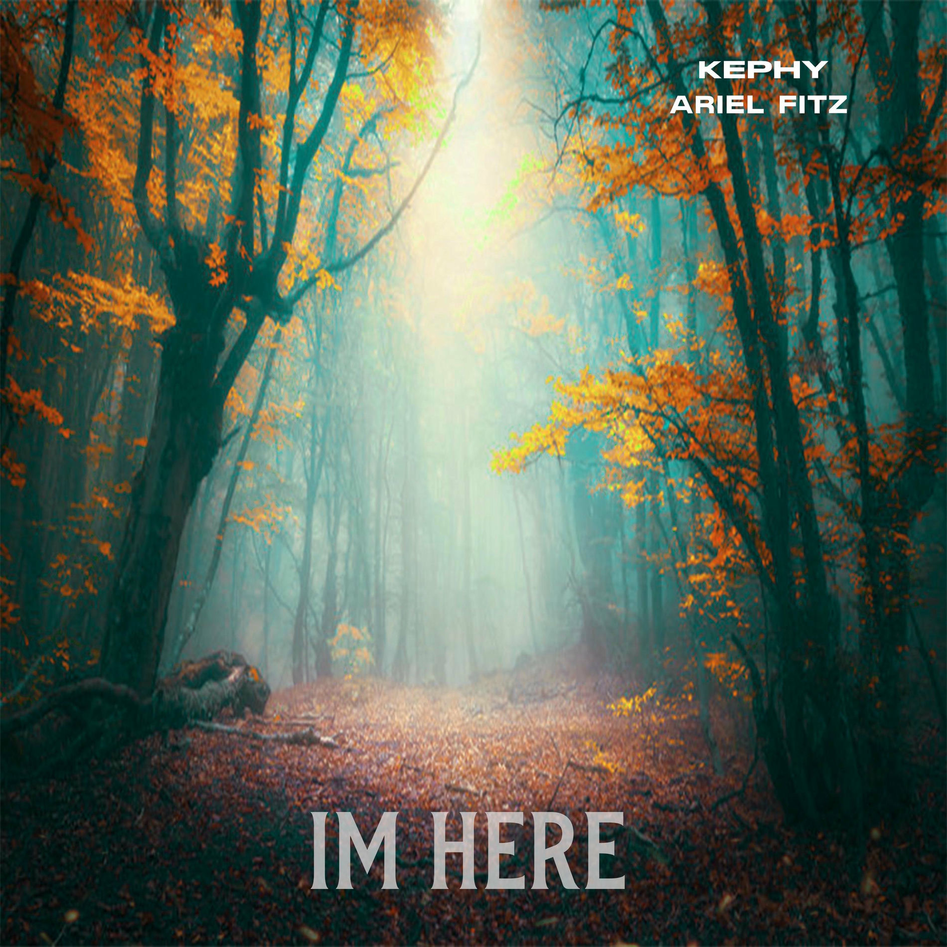 Album cover of I'm Here