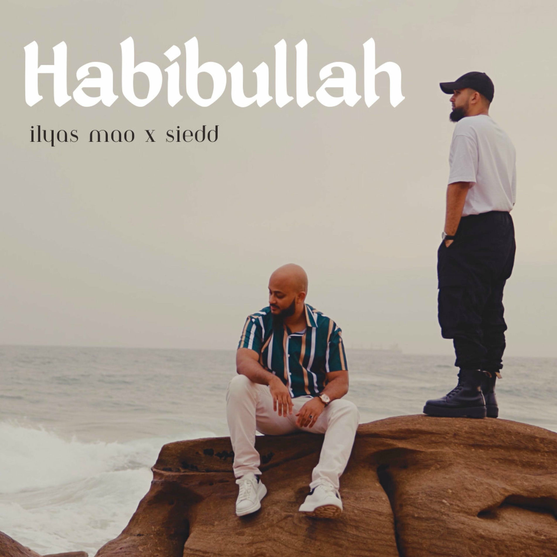 Album cover of Habibullah (feat. Siedd)