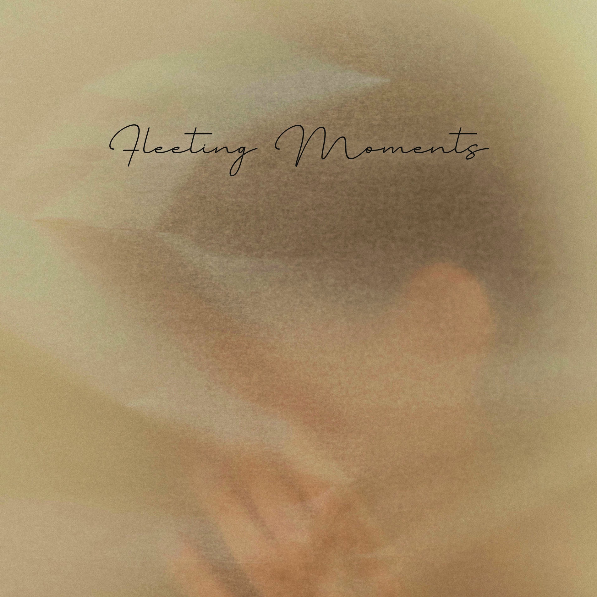 Album cover of Fleeting Moments