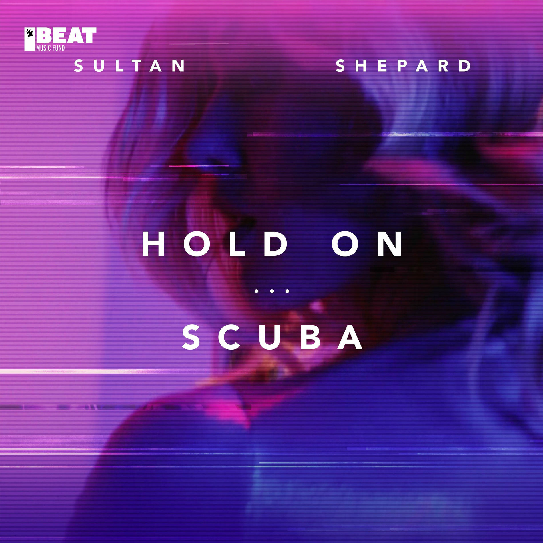 Album cover of Hold On