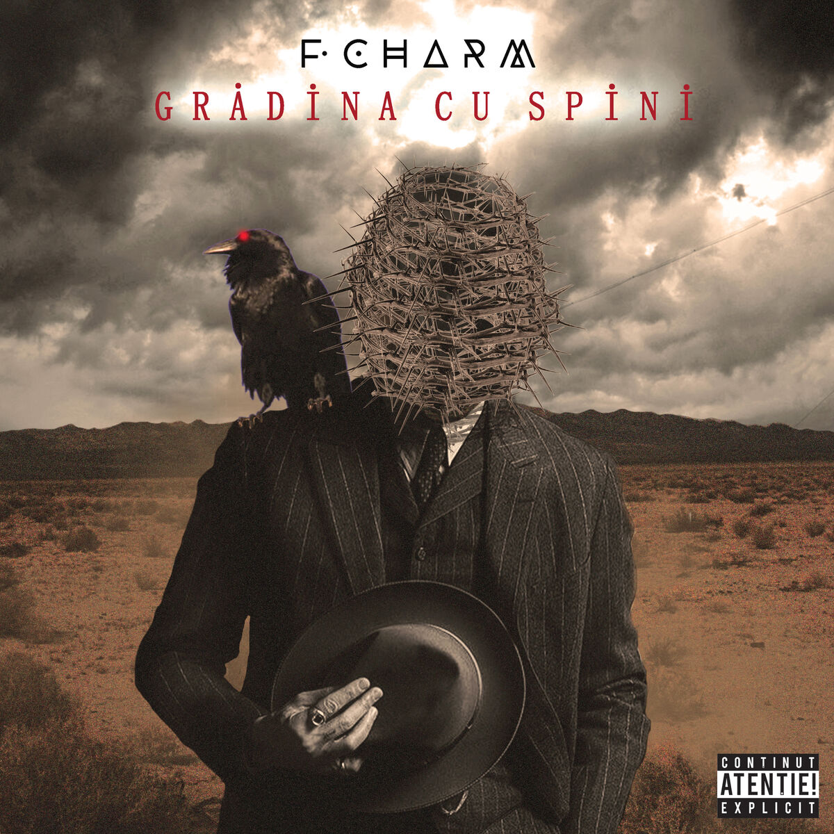 Album cover of Gradina cu spini