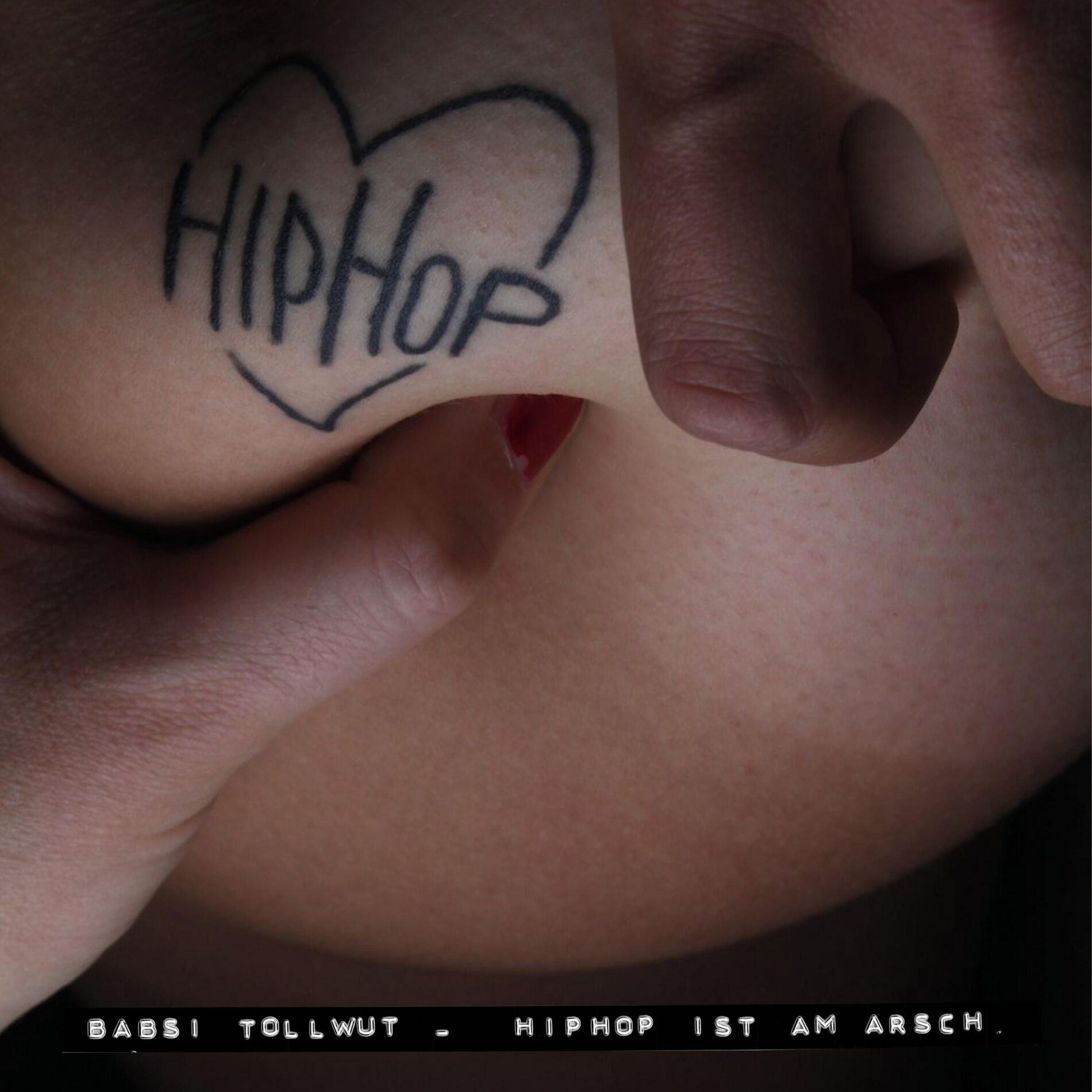 Album cover of HipHop ist am Arsch