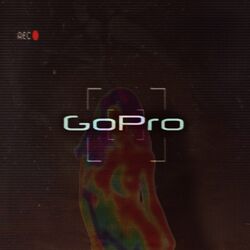 Cover of GoPRO