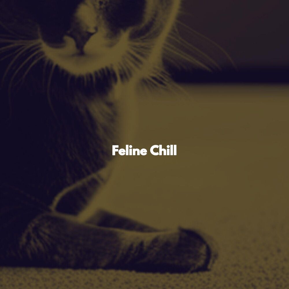 Picture of Feline Chill