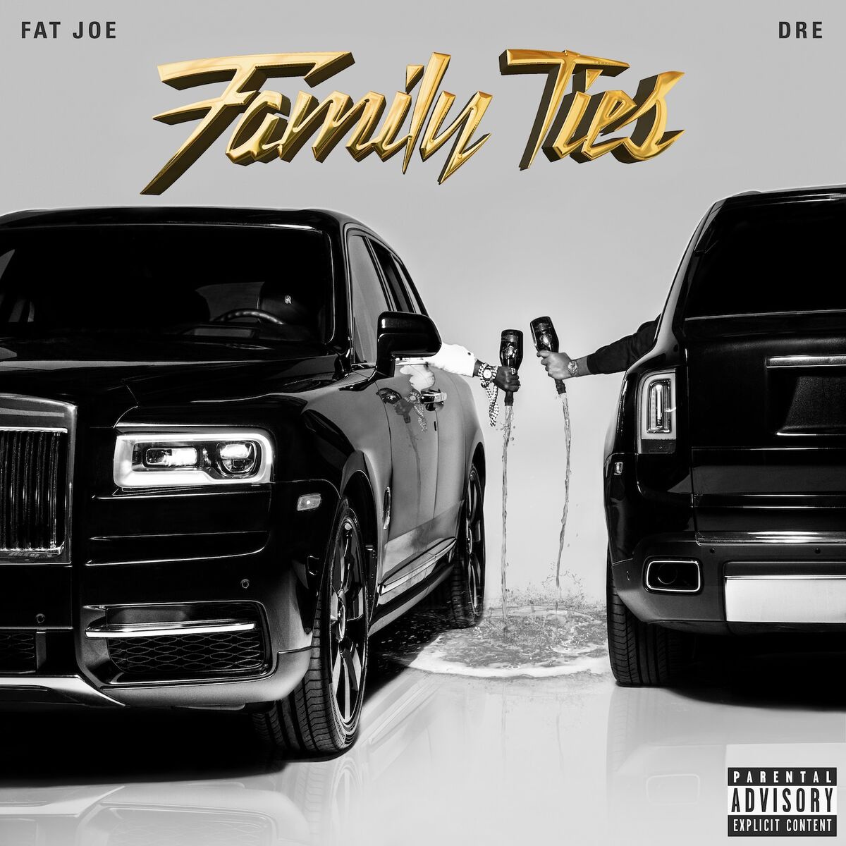 Album cover of Projects